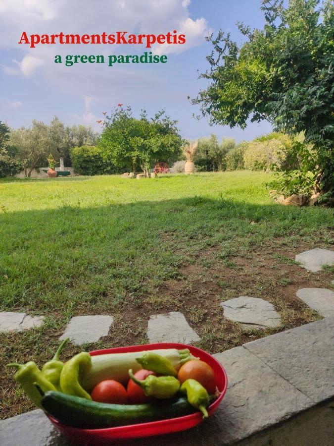 Apartments Karpetis A Green Paradise ซากูเดีย ภายนอก รูปภาพ
