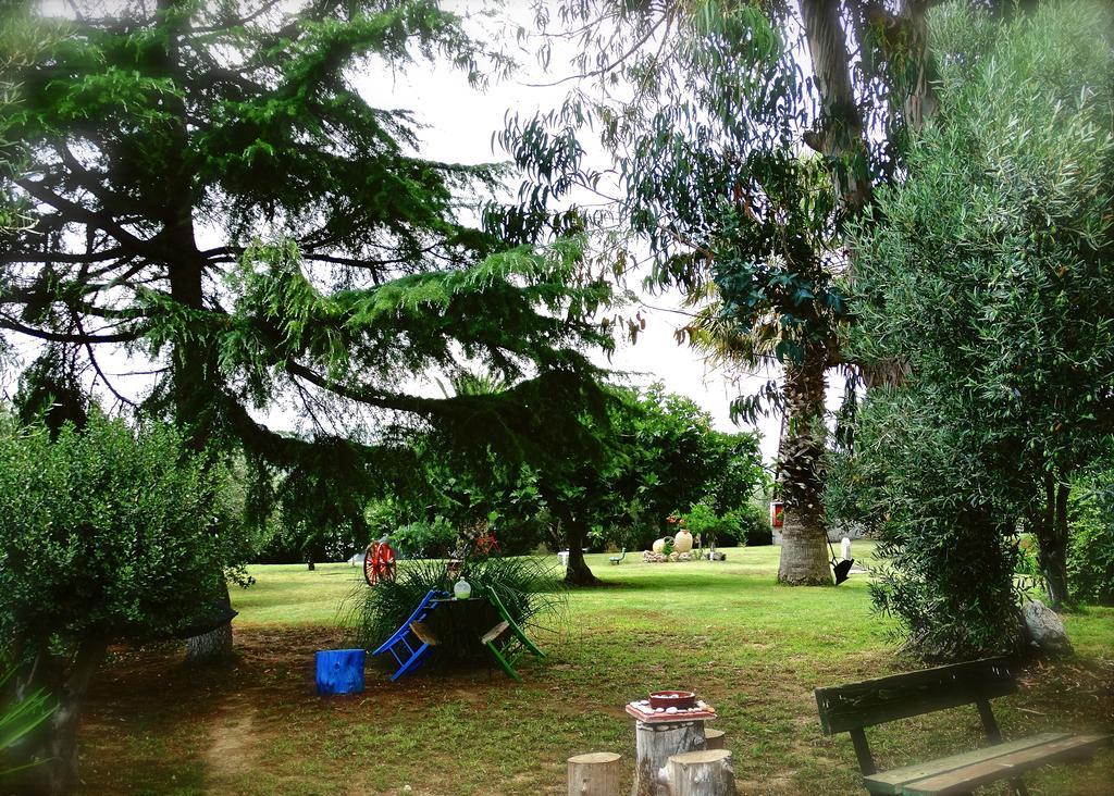 Apartments Karpetis A Green Paradise ซากูเดีย ภายนอก รูปภาพ