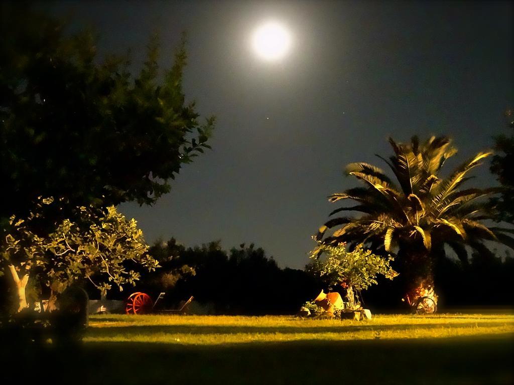 Apartments Karpetis A Green Paradise ซากูเดีย ภายนอก รูปภาพ