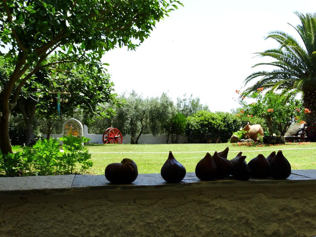 Apartments Karpetis A Green Paradise ซากูเดีย ภายนอก รูปภาพ